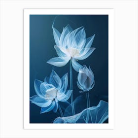 Lotus Flower 11 Art Print