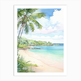 Flamenco Beach, Culebra Puerto Rico 2 Art Print