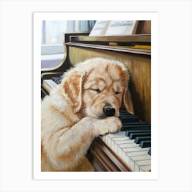 Golden Retriever Sleeping On Piano Art Print