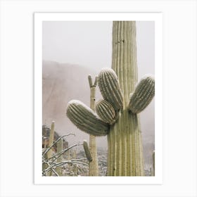 Snowy Desert Saguaro Art Print