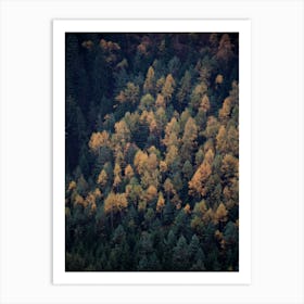 Autumn In All Its Beauty Art Print