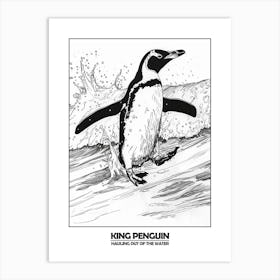 Penguin Hauling Out Of The Water Poster 7 Art Print