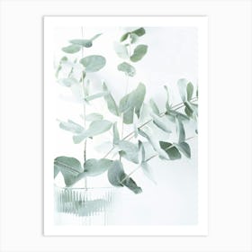 Soft green eucalyptus - botanical nature and travel photography by Christa Stroo Photography Art Print