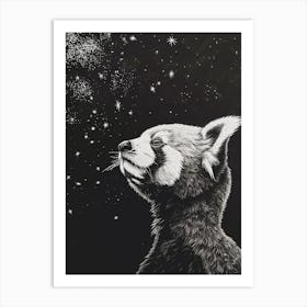 Red Panda Looking At A Starry Sky Ink Illustration 2 Art Print