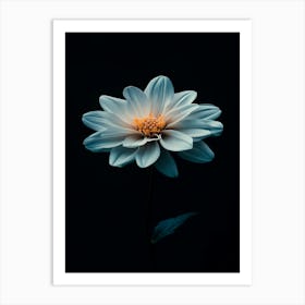 White Dahlia Flower Art Print