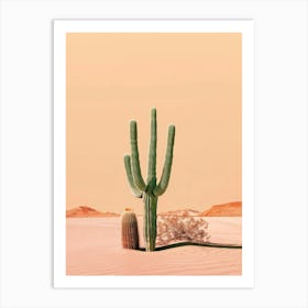 Desert Cactus Art Print