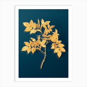 Vintage Mountain Rose Bloom Botanical in Gold on Teal Blue n.0091 Art Print