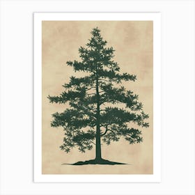 Hemlock Tree Minimal Japandi Illustration 3 Art Print