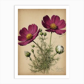 Cosmos 2 Art Print