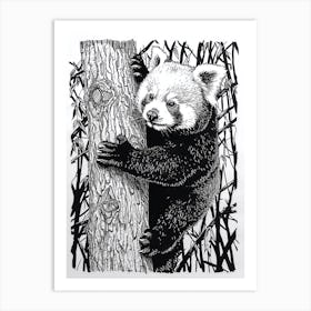 Red Panda Cub Climbing A Tree Ink Illustration 2 Art Print