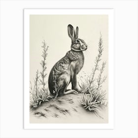Belgian Hare Drawing 2 Art Print