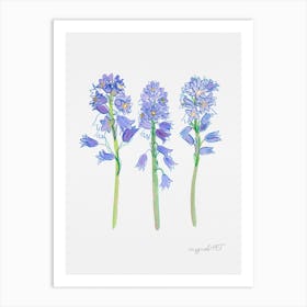 Spanish hyacinth 1 Art Print