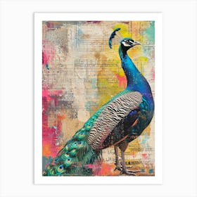 Kitsch Peacock Collage 5 Art Print