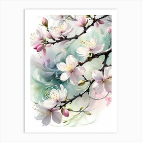 Cherry Blossoms 6 Art Print