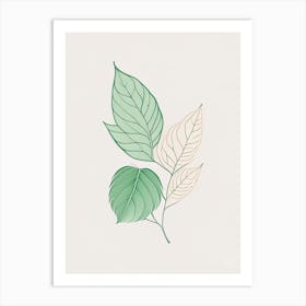 Mint Leaf Contemporary 5 Art Print