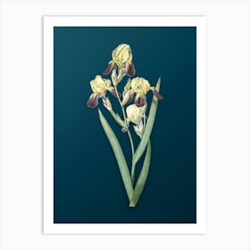 Vintage Elder Scented Iris Botanical Art on Teal Blue n.0140 Art Print