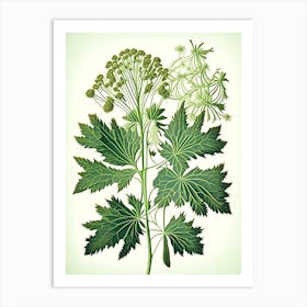 Angelica Herb Vintage Botanical Art Print