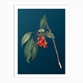 Vintage Cherry Botanical Art on Teal Blue n.0854 Art Print