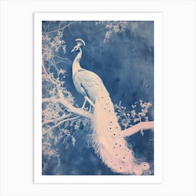 White & Blue Cyanotype Inspired Peacock Art Print
