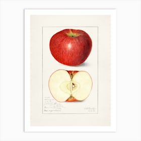 Apple Print 1 Art Print