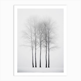 Three Trees In The Fog Art Print