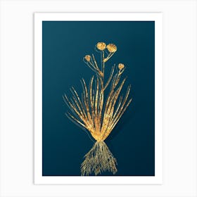 Vintage Blue Corn Lily Botanical in Gold on Teal Blue n.0175 Art Print