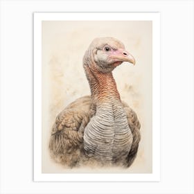 Vintage Bird Drawing Turkey 3 Art Print