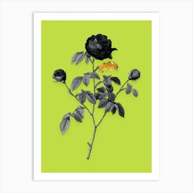 Vintage Agatha Rose in Bloom Black and White Gold Leaf Floral Art on Chartreuse n.0990 Art Print