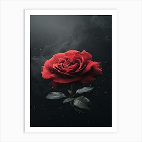 Red Rose 11 Art Print