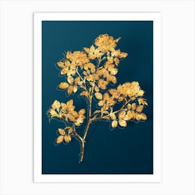 Vintage Rose Corymb Botanical in Gold on Teal Blue n.0256 Art Print