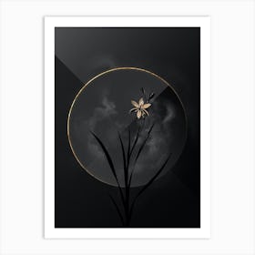 Shadowy Vintage Ixia Anemonae Flora Botanical in Black and Gold n.0135 Art Print