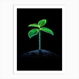 Neon Green Plant On Black Background 1 Art Print