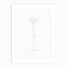 Carnation Line Drawing Art Print