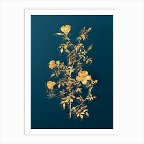 Vintage Hedge Rose Botanical in Gold on Teal Blue n.0218 Art Print