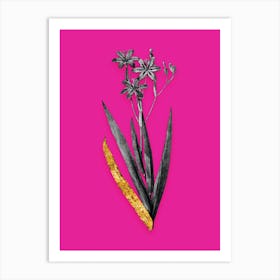 Vintage Blackberry Lily Black and White Gold Leaf Floral Art on Hot Pink n.0483 Art Print