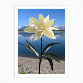 Hermosa Flor,Lago De Bariloche Art Print