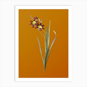 Vintage Ixia Tricolor Botanical on Sunset Orange n.0404 Art Print