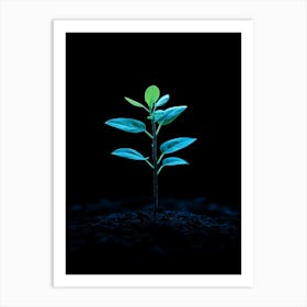 Young Green Plant On Black Background 2 Art Print