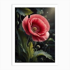 Poppy 2 Art Print