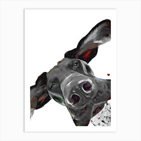 GSP German Shorthaired Pointer Dog Art Print