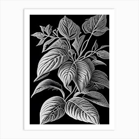 Lemon Balm Leaf Linocut 1 Art Print