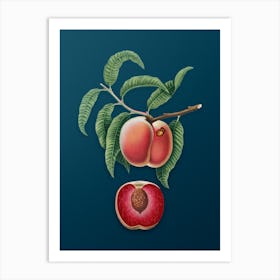 Vintage Carrot Peach Botanical Art on Teal Blue n.0132 Art Print