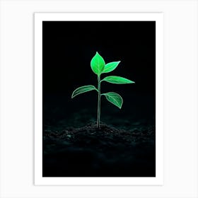 Green Plant On A Black Background Art Print