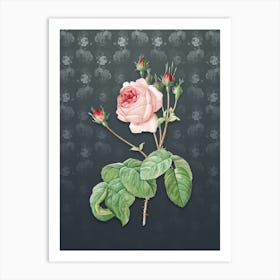 Vintage Cabbage Rose Botanical on Slate Gray Pattern n.0833 Art Print