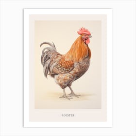 Vintage Bird Drawing Rooster 2 Poster Art Print