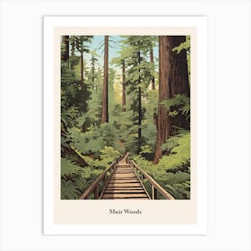 Muir Woods 2 Art Print