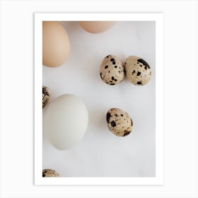 Quail Eggs 4 Art Print