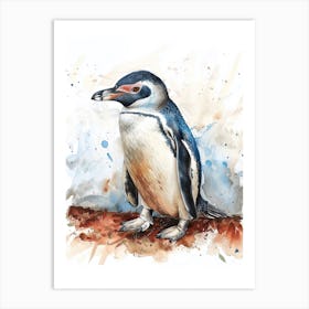 Humboldt Penguin Dunedin Taiaroa Head Watercolour Painting 1 Art Print