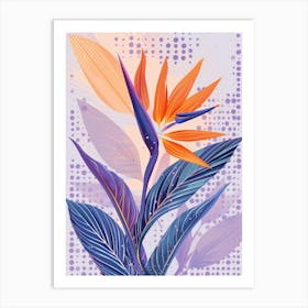 Bird Of Paradise Flower Art Print