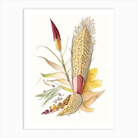 Corn Silk Spices And Herbs Pencil Illustration 5 Art Print